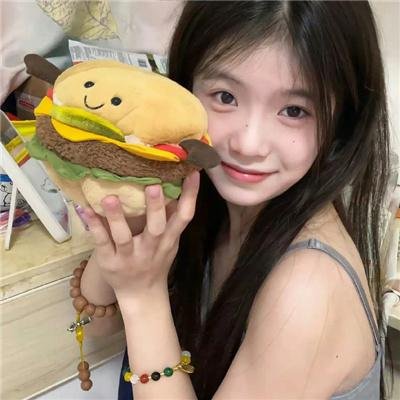 案中案
